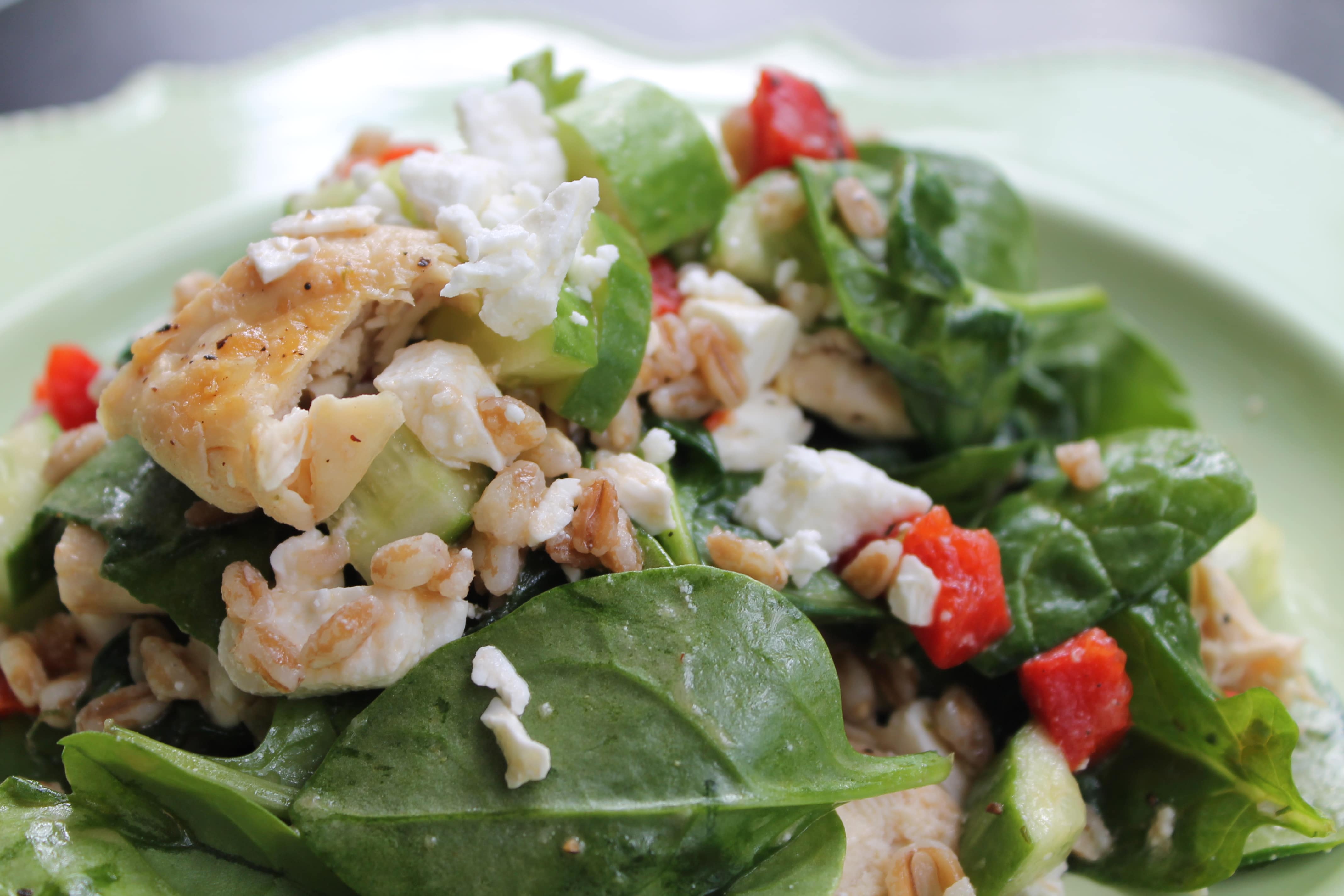 Mediterranean Spinach Salad with Farro Spices in My DNA