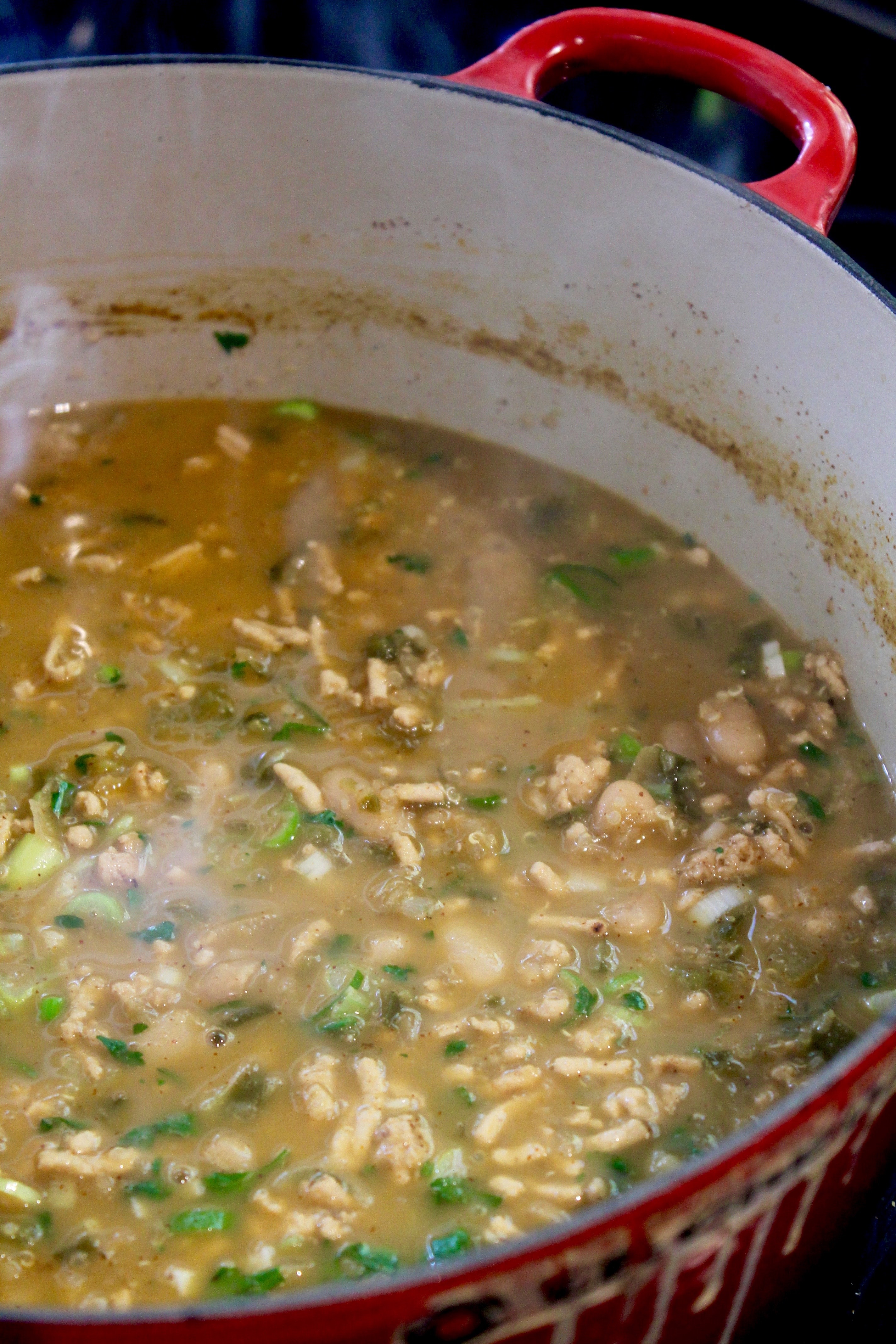 Green Chile Turkey Quinoa Chili Spices in My DNA