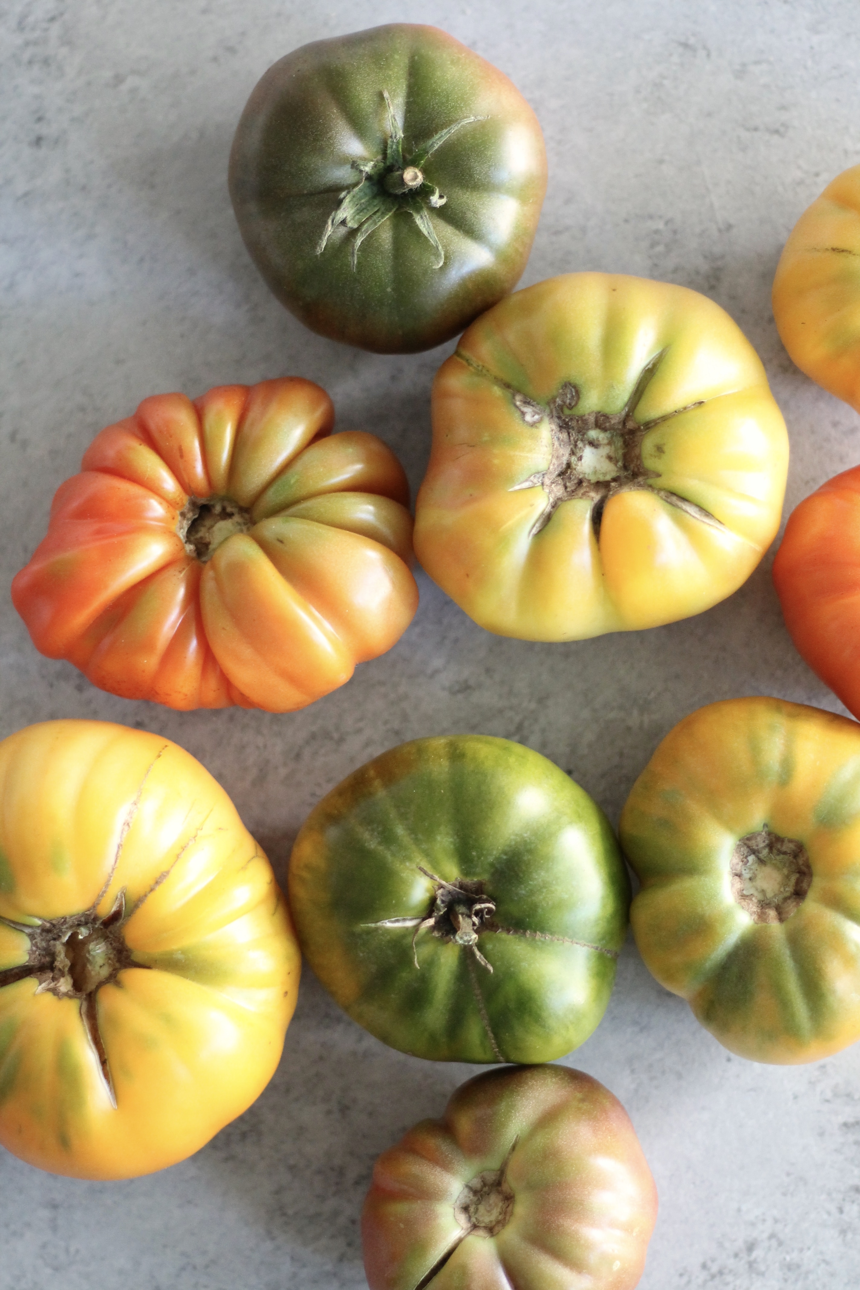 Heirloom Tomato Watermelon Salad with Feta, Red Onion, and Herb Vinaigrette