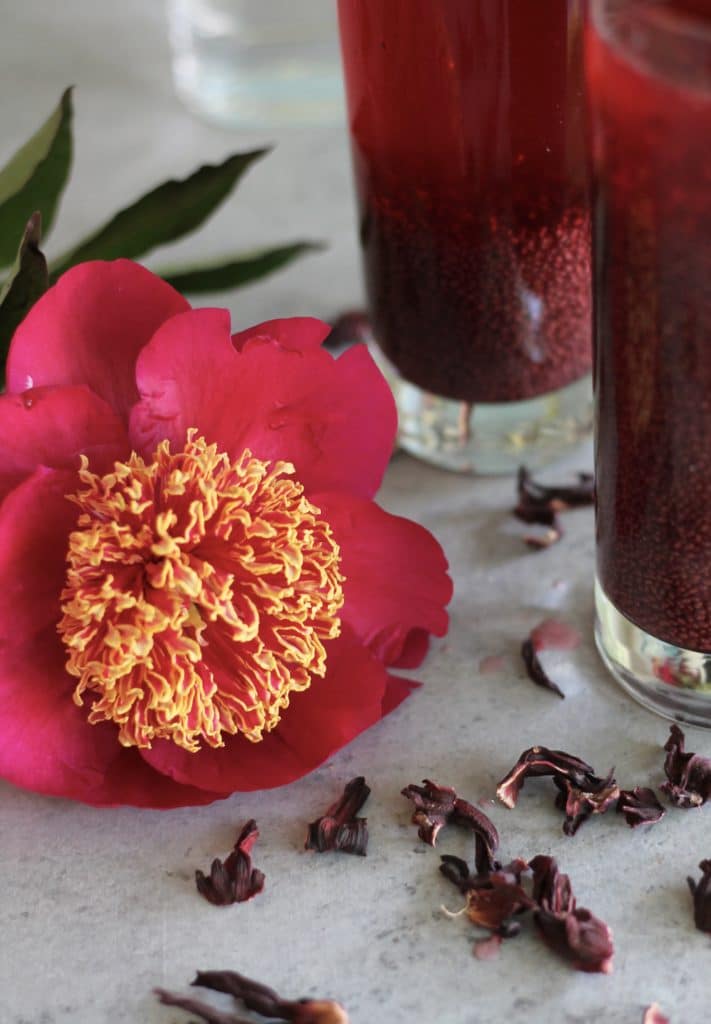 Hibiscus Chia Fresca