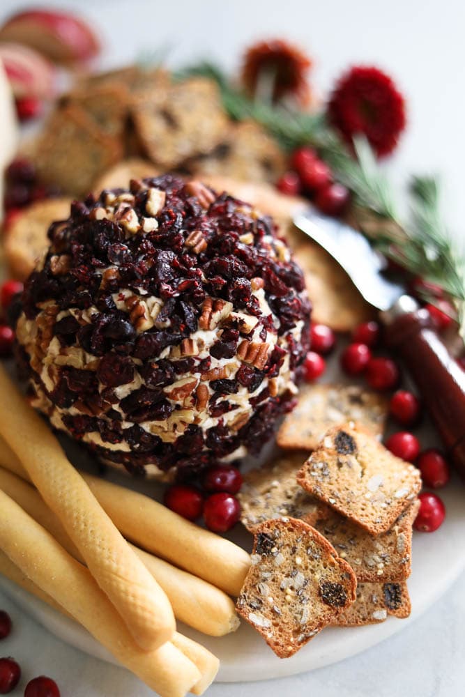 Cranberry Pecan Caramelized Onion Cheeseball