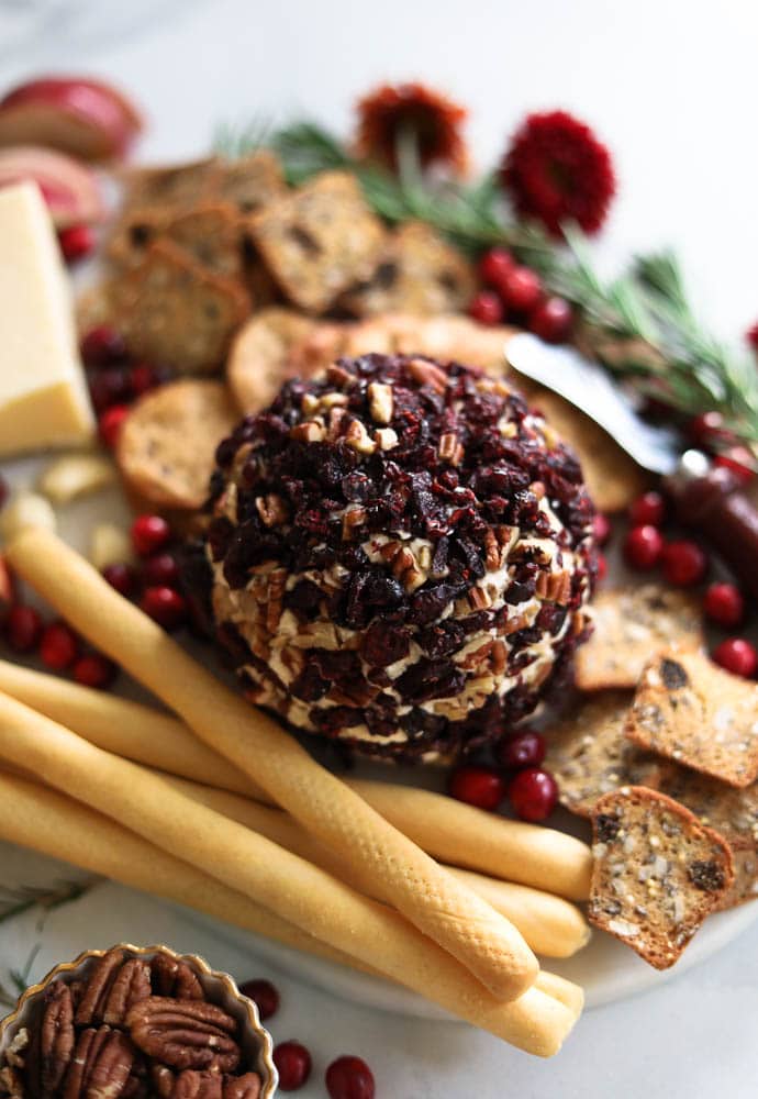 Cranberry Pecan Caramelized Onion Cheeseball