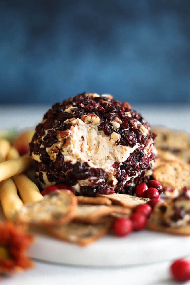 Cranberry Pecan Caramelized Onion Cheeseball