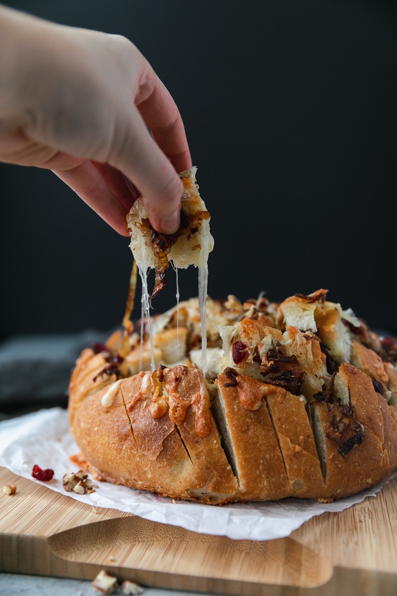 Forward facing shot of a loaf of bread stuffed with melted cheese, caramelized onions, cranberries, and pecans with a hand pulling a cheesy piece of bread off of it against a black background