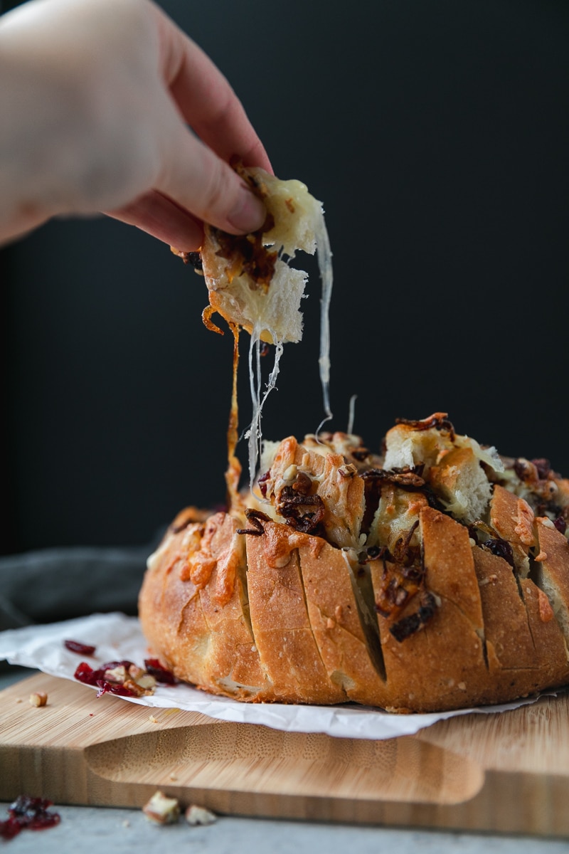 Forward facing shot of a loaf of bread stuffed with melted cheese, caramelized onions, cranberries, and pecans with a hand pulling a cheesy piece of bread off of it against a black background